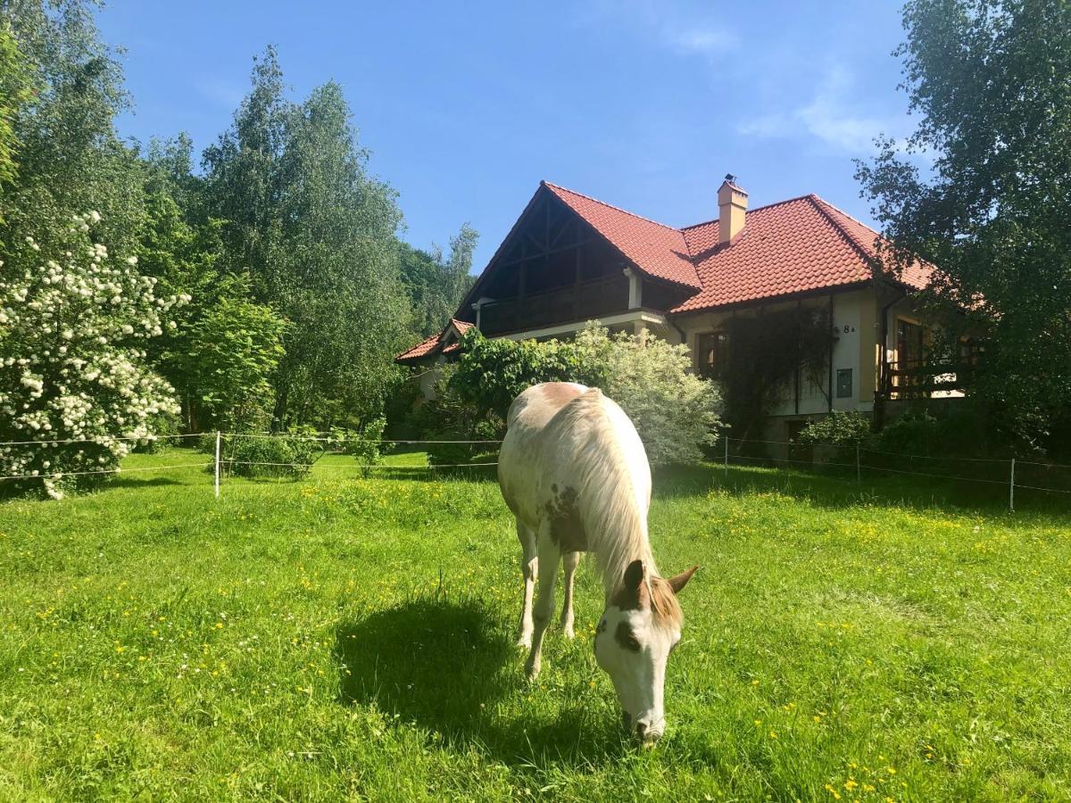 Modryna Ranczo Bed & Breakfast Krasiczyn Exterior foto